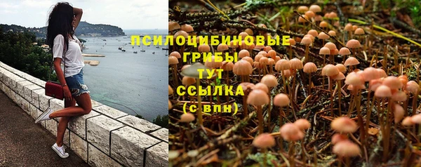марки lsd Алзамай