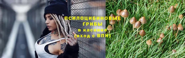 каннабис Алексеевка