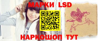 индика Тверь