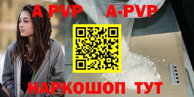 индика Тверь