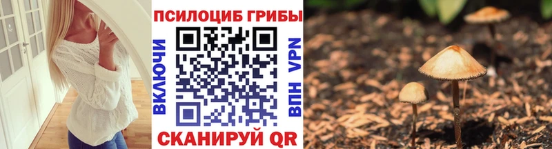 Галлюциногенные грибы мицелий Черемхово